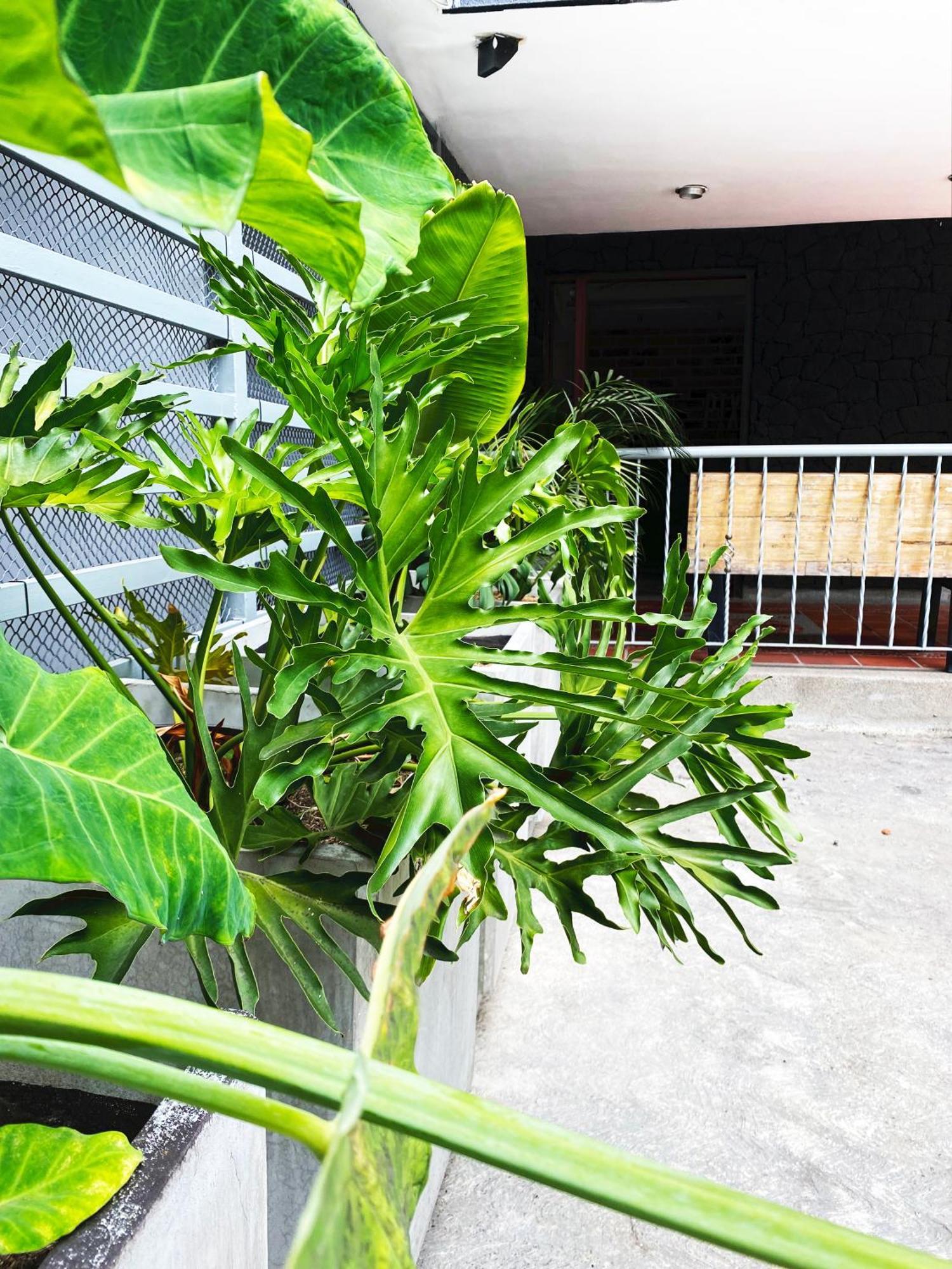 Ayenda 1224 Pixel House (Adults Only) Hotel เมเดยิน ภายนอก รูปภาพ